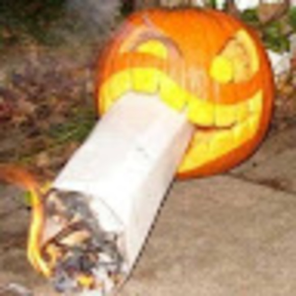 Meet your Posher, Git - Picture 1 of 1